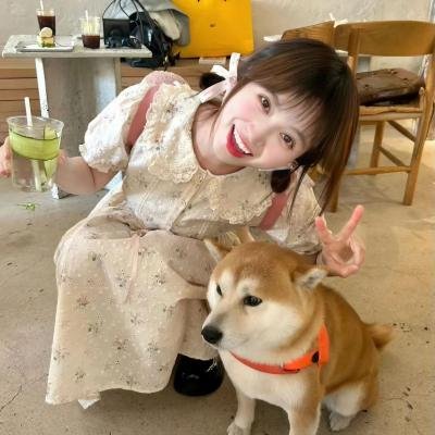 大追击
